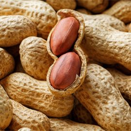 groundnut